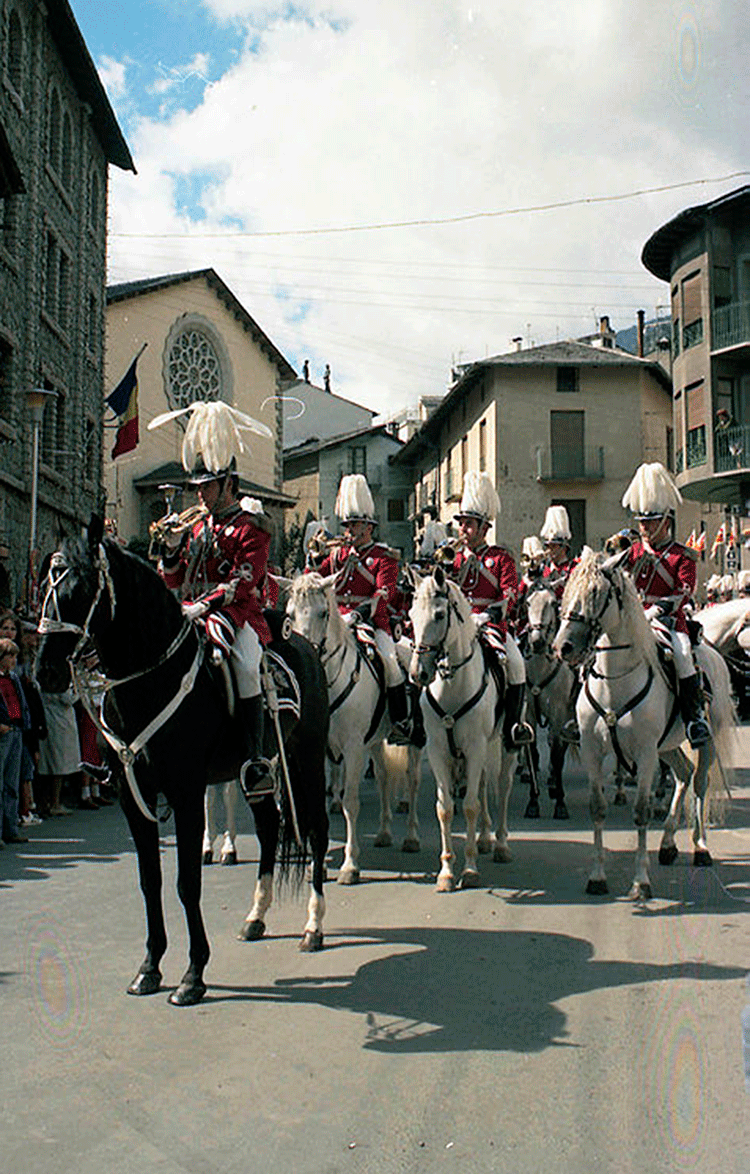 1372-fp_04044.t5660de9d.m800