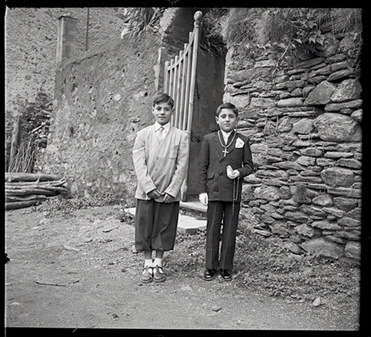 ffp_0266.t5fd85fff.m600