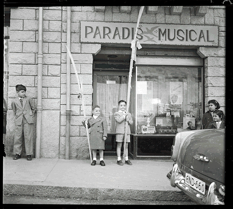 1522-ffp_0031.t5ff6ef67.m800