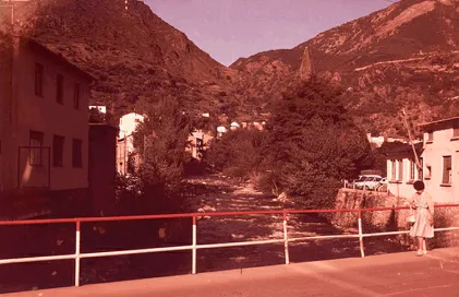 1534-ffp_2294.t5f84475c.m800