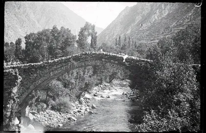 1572-ffp_1973.jpg.iifjse-0muanaa