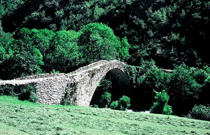 1579-fhg_0110.jpg.iieduie1muanaa