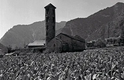 1885-fp_06561.jpg.iifx5ca3muanaa