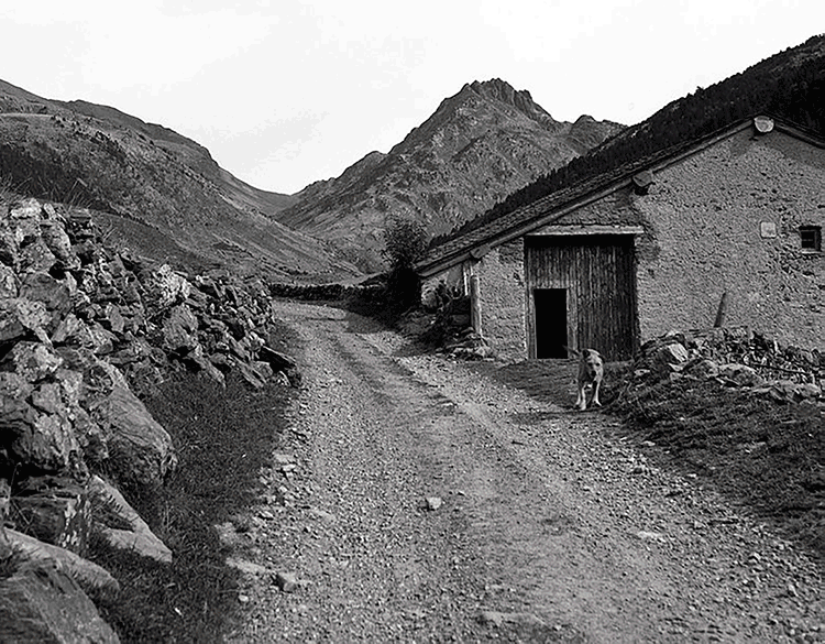 1893-fp_16010.jpg.iieyyvo3muanaa