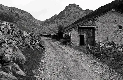 1893-fp_16010.jpg.iieyyvo3muanaa