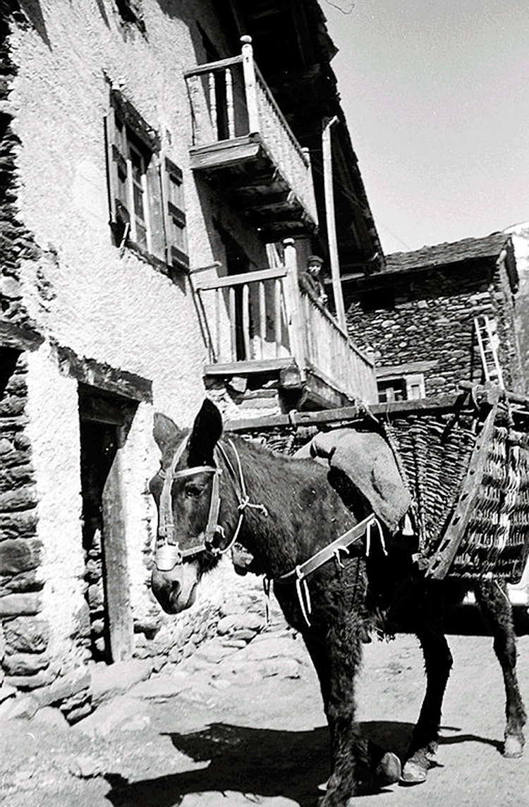1916-fl_0017.jpg.iieu2jq5muanaa
