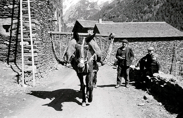 1920-fl_0016.jpg.iieh_jm5muanaa