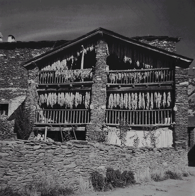 1972-la-massana-1967-cal-giuraut-joan-b-martisella