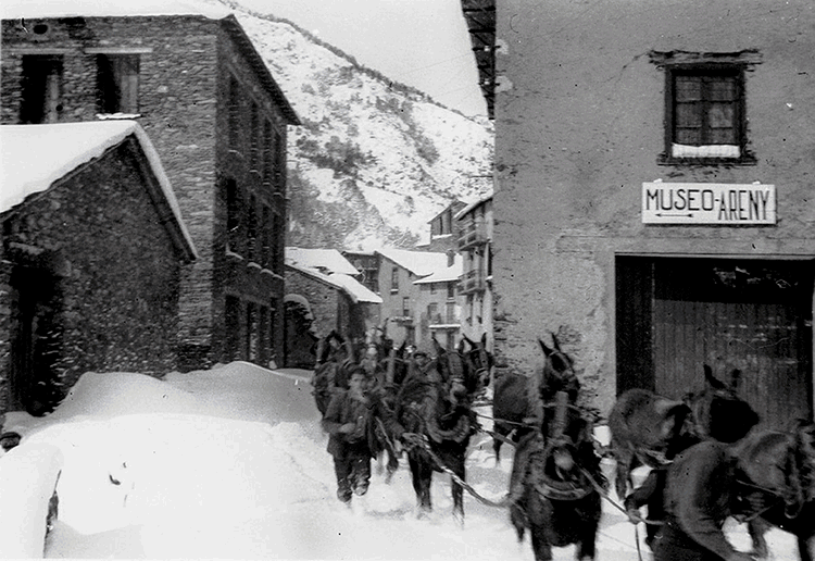 1992-cr_0793-ordino