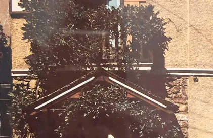 2051-tomas-riart-any-1964