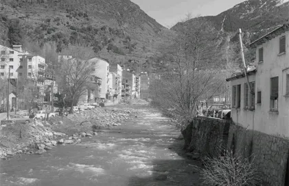 2017-alv-niculas-muller