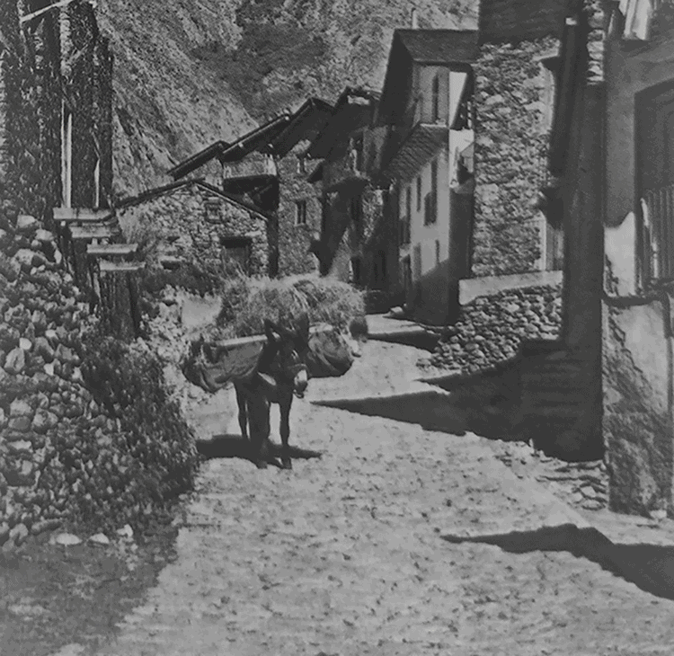 2059-canillo-evolucions