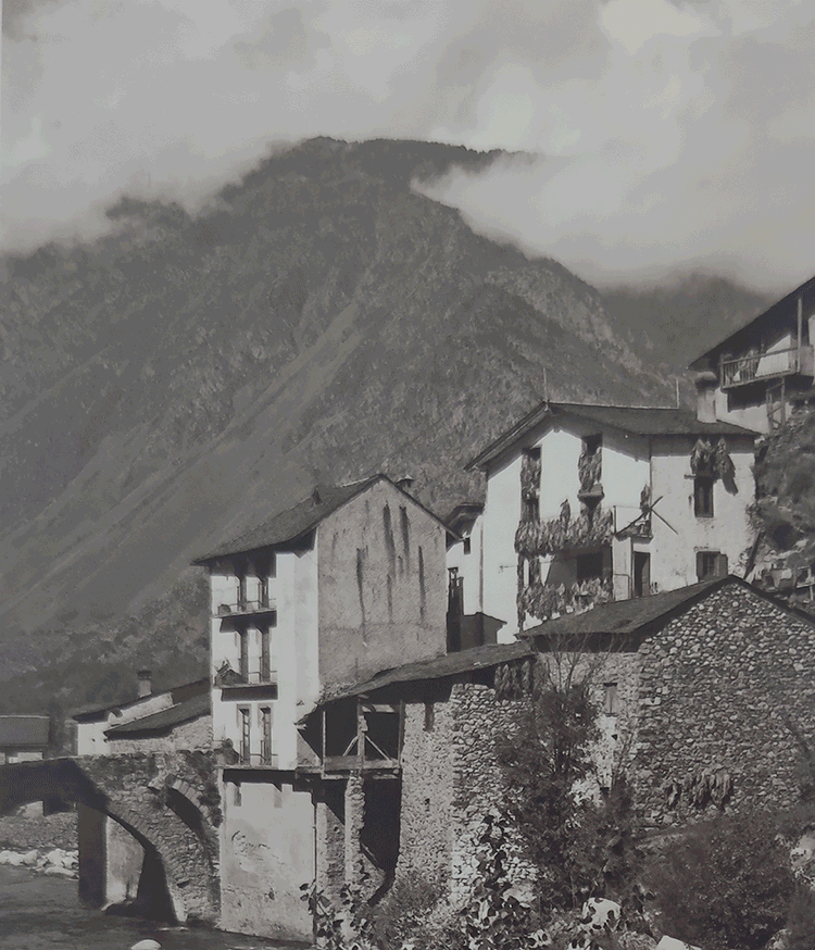 2081-pont-dengoradny-avc-evolucions