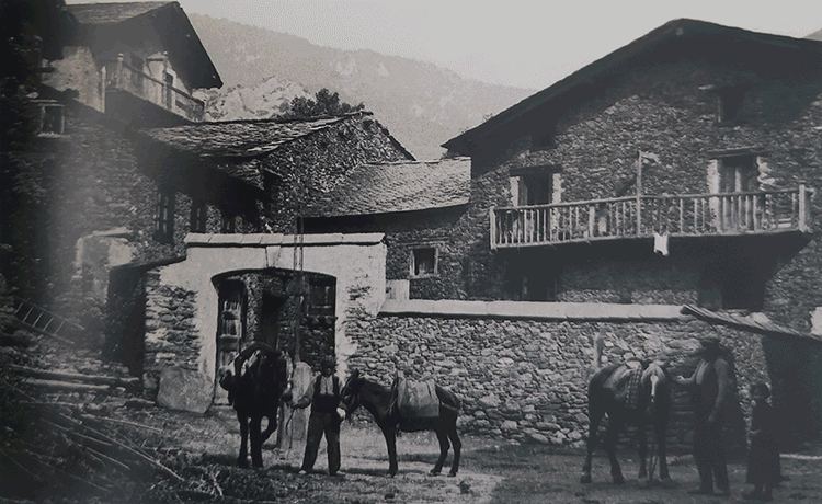 2908-ordino-evolucions-cec-1