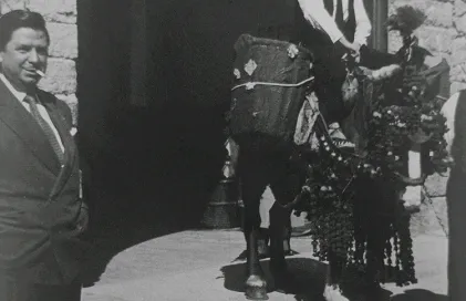 2114-caee-alsina-ee-anys-50