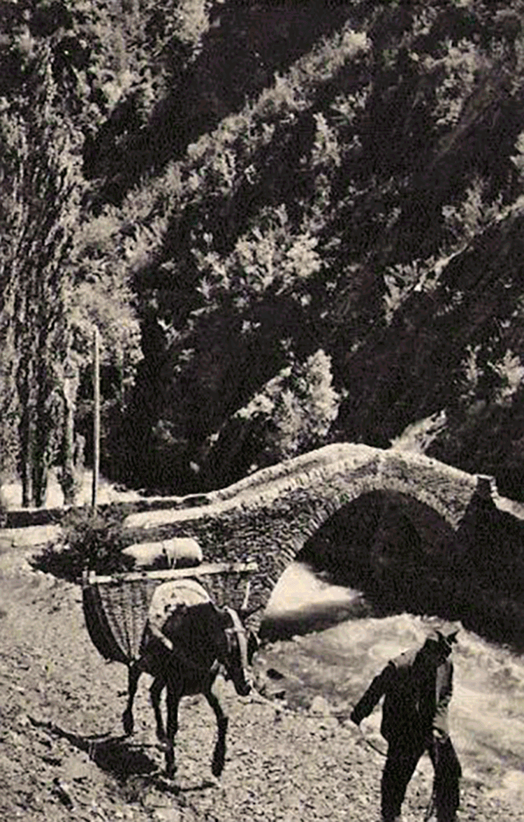 2326-sant-antoni
