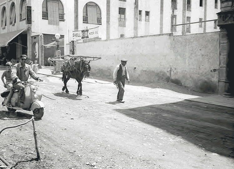 4030-av-carlemany-josep-alsina