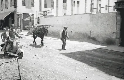 4030-av-carlemany-josep-alsina