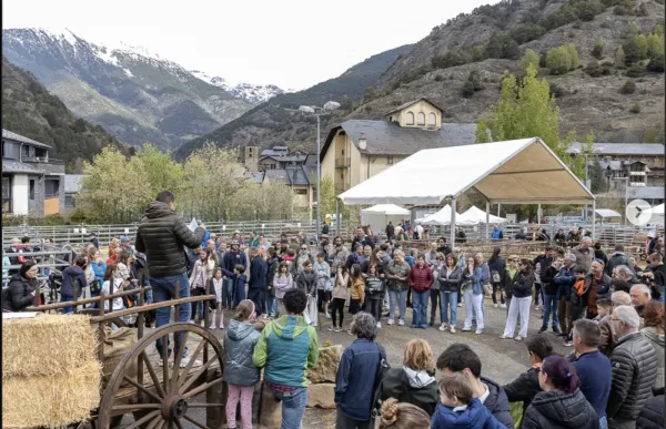 p. 08.1 Vaques Ordino