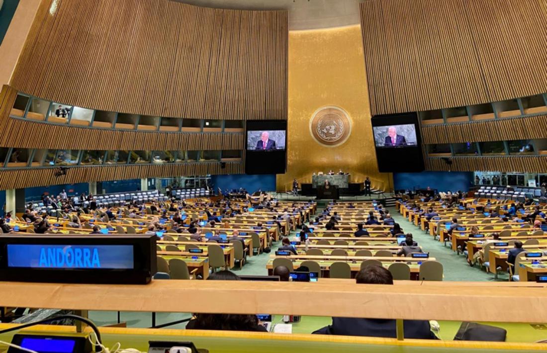L'assemblea general de l'ONU.