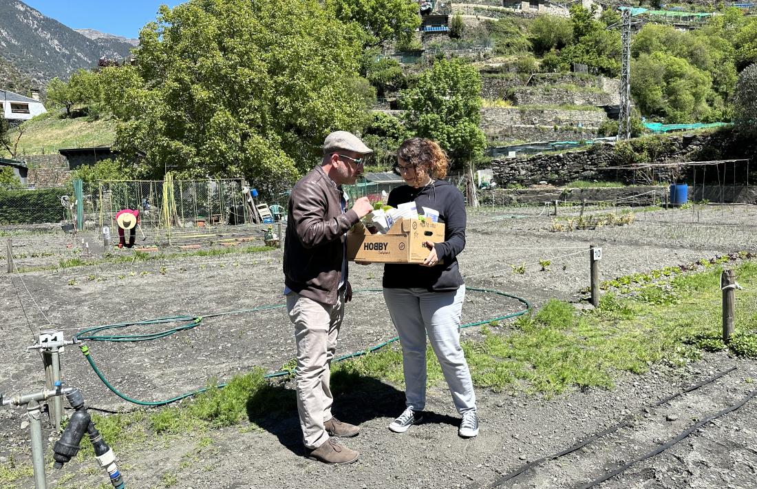 Entrega dels plantars per al conreu.