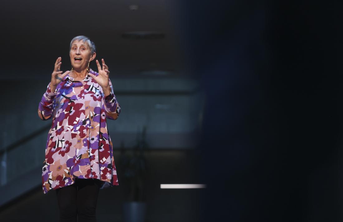 Un moment de la xerrada de Rosa Almirall al vestíbul del Consell General, ahir.
