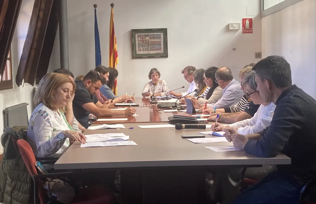Imatge de l’últim ple celebrat pel Consell Comarcal de l’Alt Urgell. 