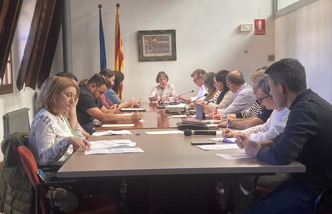 Imatge de l’últim ple celebrat pel Consell Comarcal de l’Alt Urgell. 