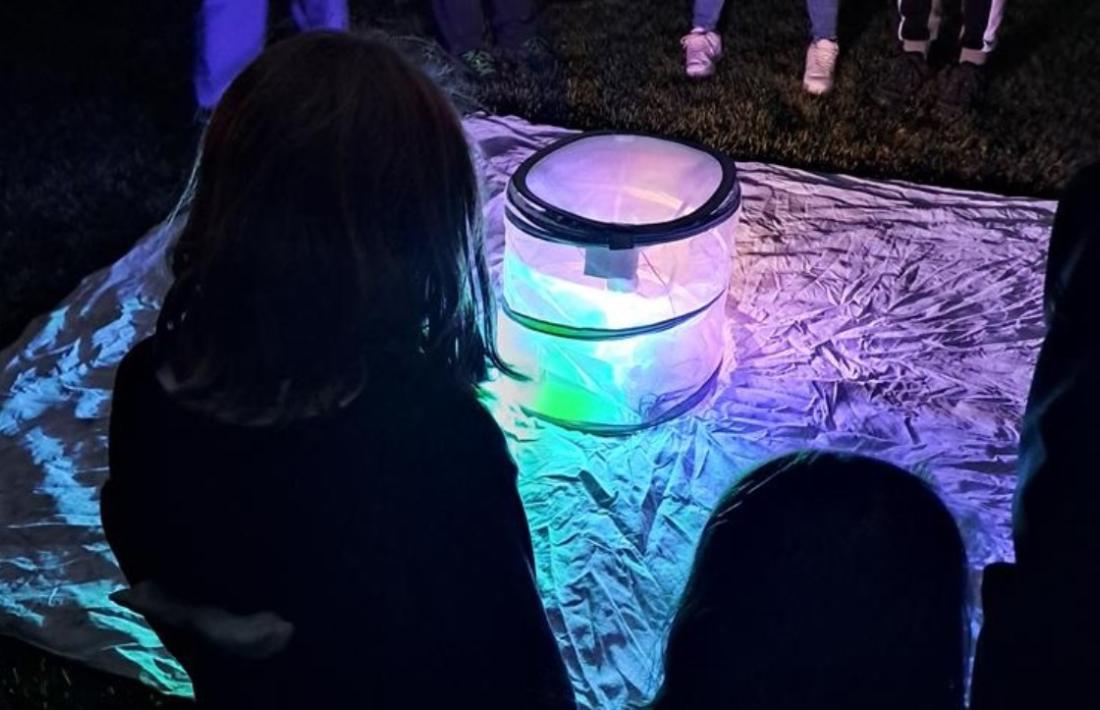 Un moment de la Nit de les Papallones que es va poder viure dissabte passat