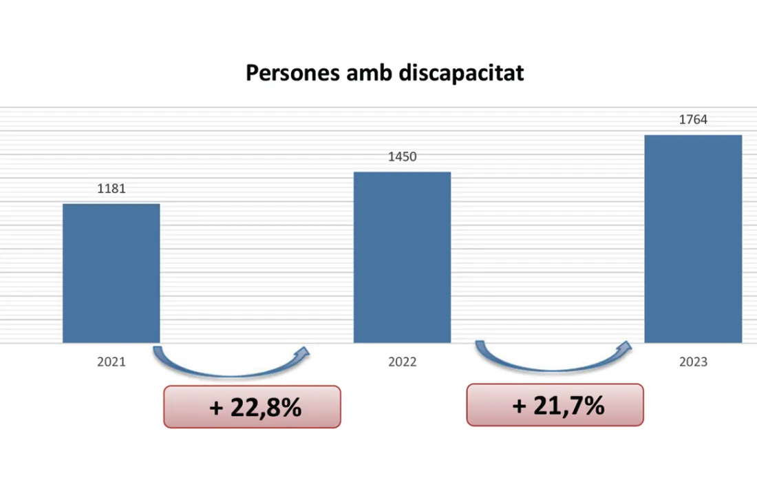 El 2023 s’atorga el grau de menyscabament a 314 persones.