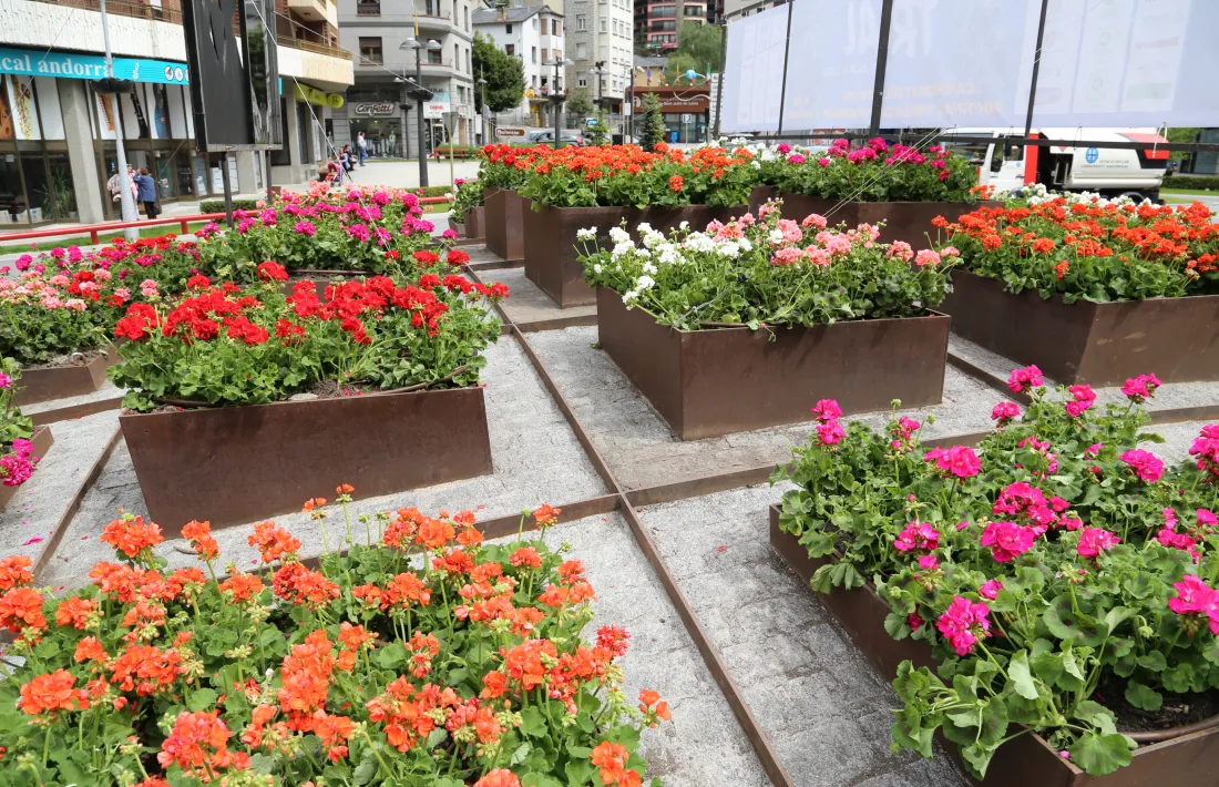Sant Julià de Lòria plantarà prop de 4.500 flors en els propers dies