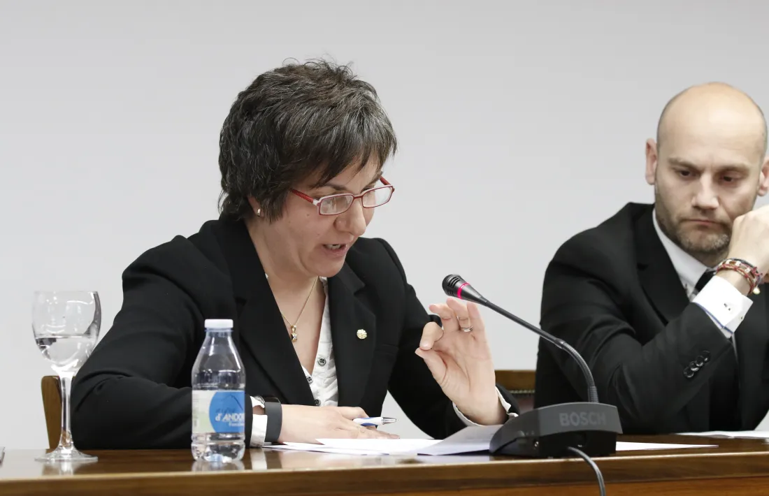 El PS proposa usar un paviment que genera electricitat a Vivand