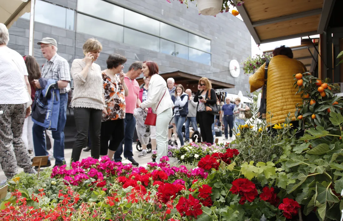 Elevada afluència en l’edició més participativa d’Andoflora
