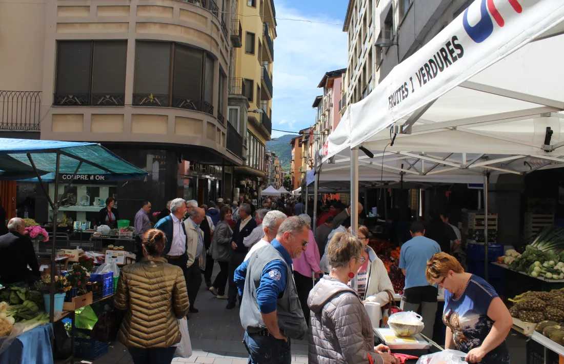 Les parades del mercat de la Seu s’atorgaran per concurs públic 
