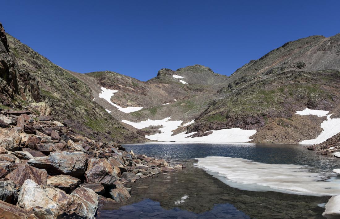 Primer concurs fotografic de Natura