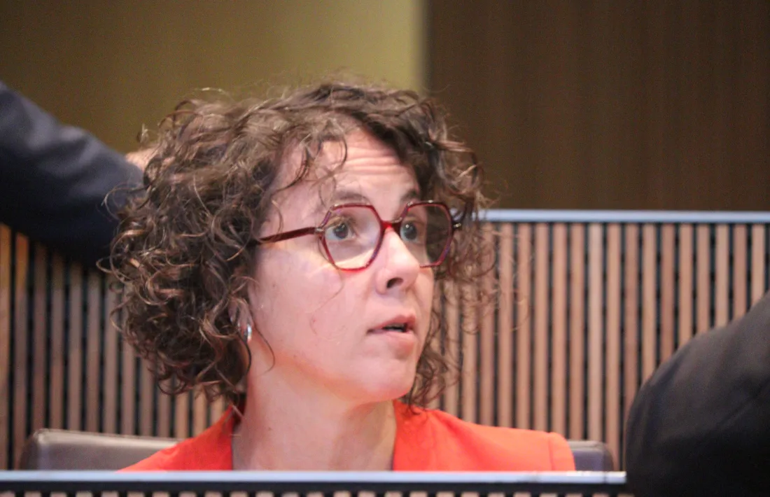 La presidenta del grup parlamentari socialdemòcrata, Judith Casal