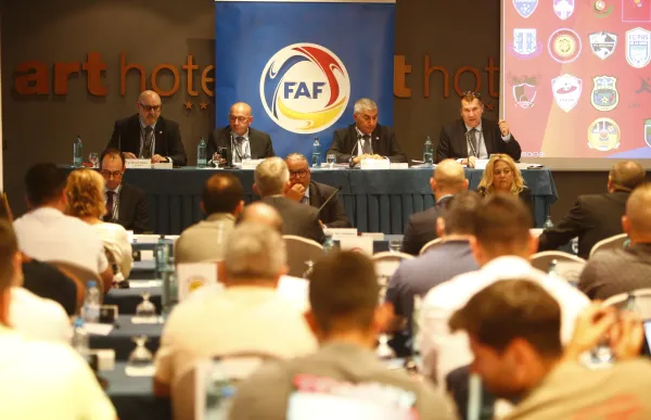 p. 29 1 assemblea FAF