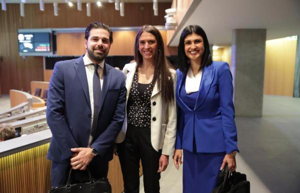 grup_parlamentari_ae-large