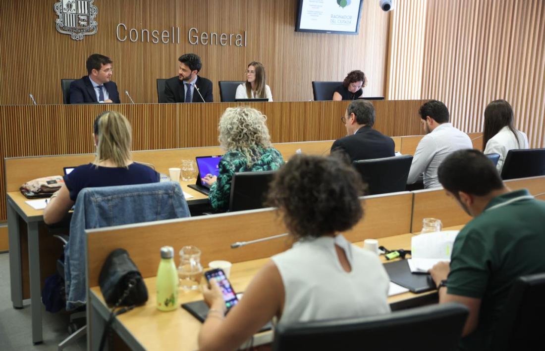 La compareixença del raonador, avui al Consell General.
