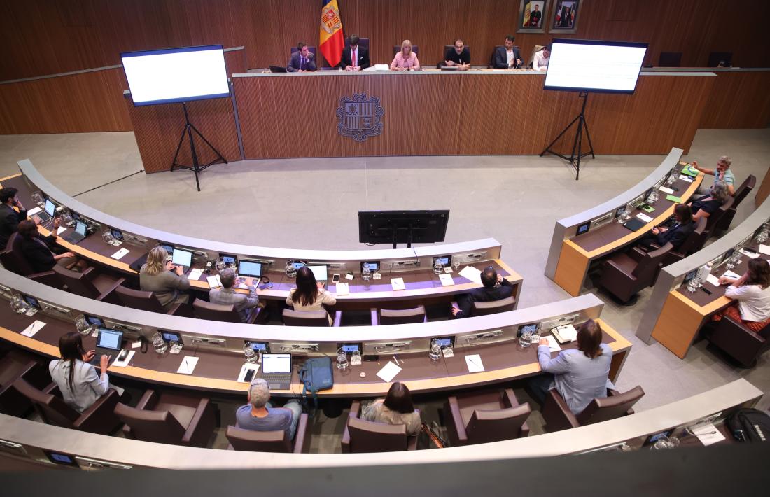 Els consellers generals van poder conèixer ahir l’estudi d’impacte de l’acord d’associació fet per l’AR+I.