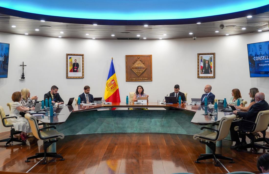 Un moment de la sessió de Consell de Comú, avui.