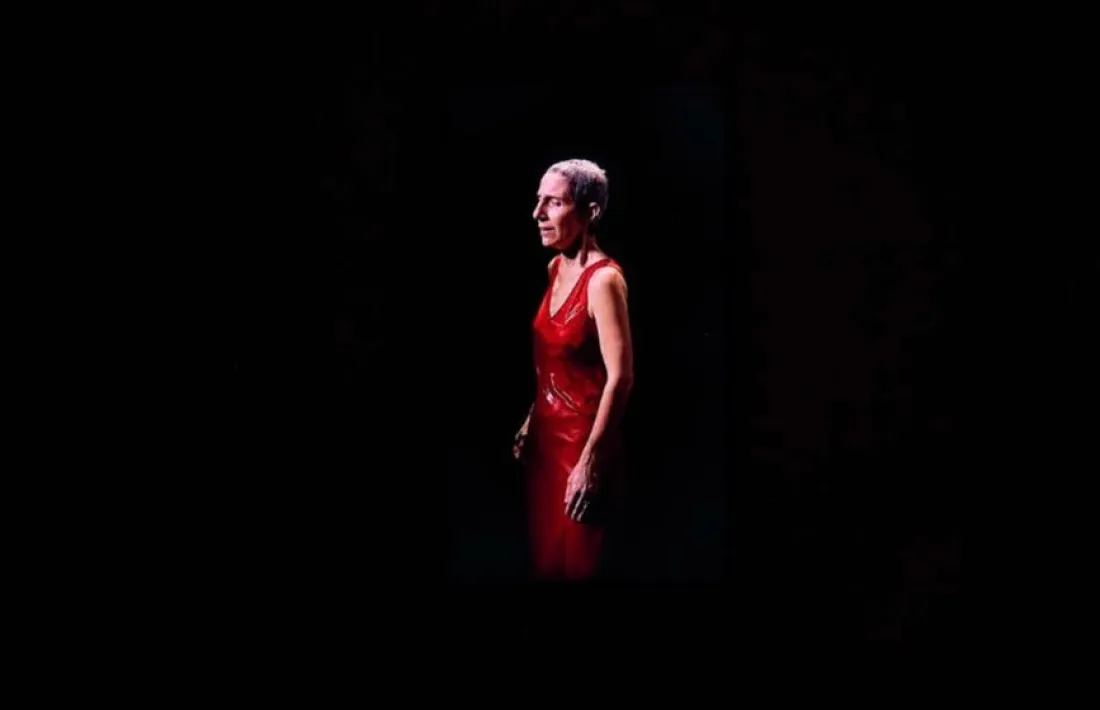 Captura de 'The Return', un dels videoarts amb què Bill Viola va participar al LandArt.