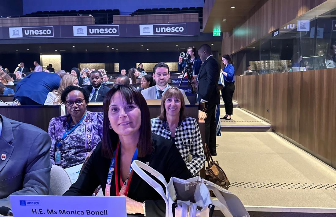 Bonell a la conferència organitzada per la Unesco.