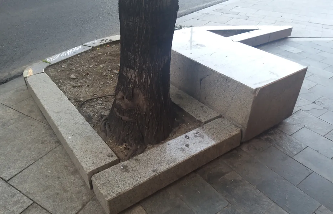 Una vorera en mal estat a Prat de la Creu.