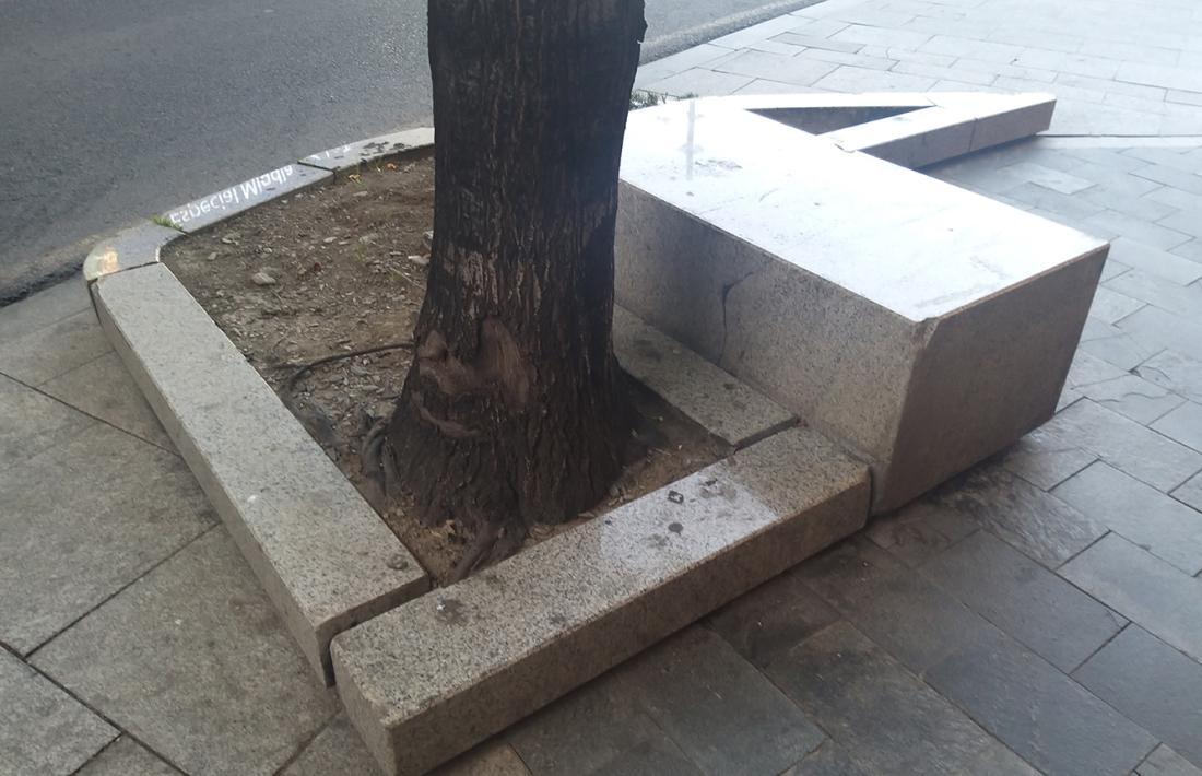 Una vorera en mal estat a Prat de la Creu.