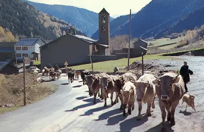 008-Cortinada---Postal