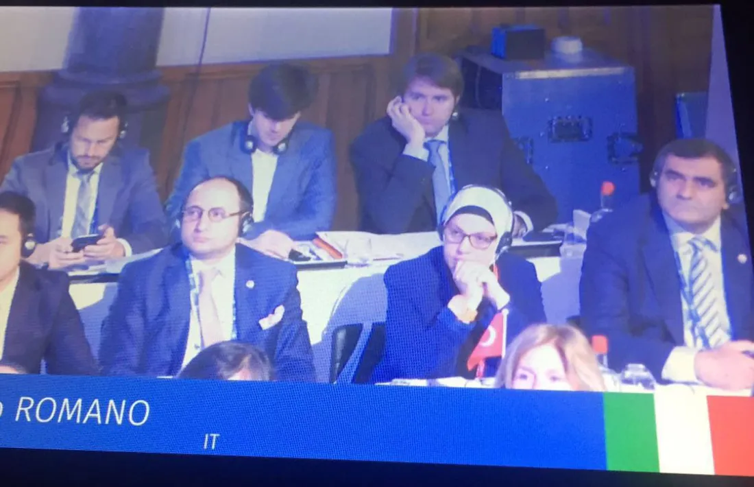 Andorra participa en una trobada parlamentària que se celebra a la Haia