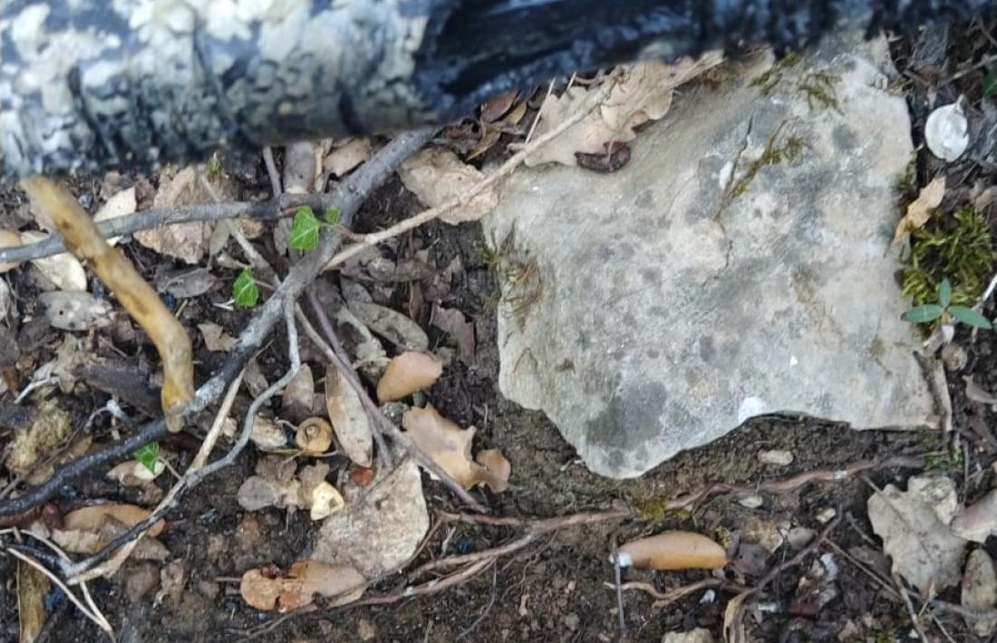 La canalització sovint obliga a fer una incursió muntanya amunt per reparar-la. 