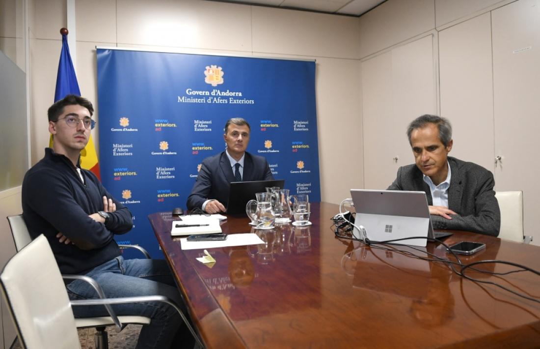 El secretari d’Estat de Transformació Digital i Telecomunicacions, Marc Rossell, durant la reunió telemàtica.