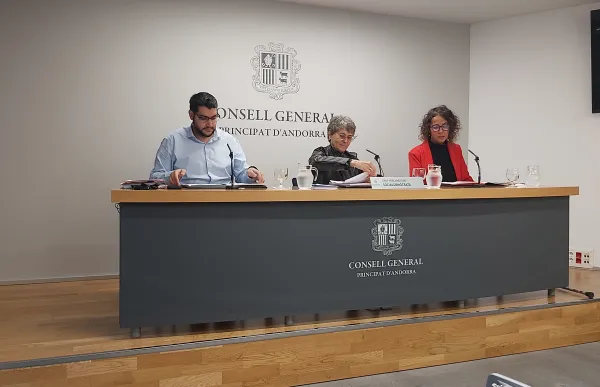 p. 04 ps esmenes llei omnibus